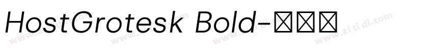 HostGrotesk Bold字体转换